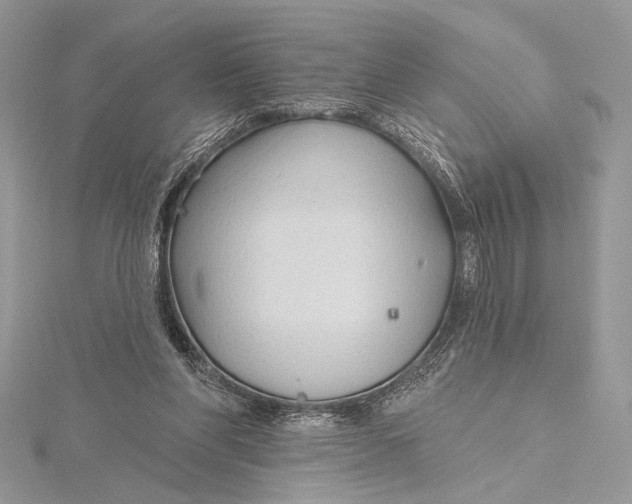 X0000115790206200912041519