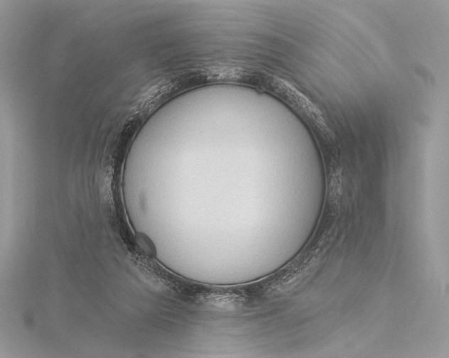 X0000115790209200912041519