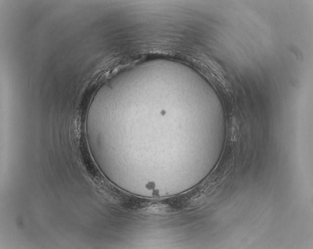 X0000115790210200912041519