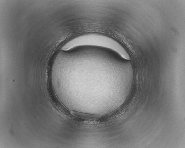 X0000115790211200912041519