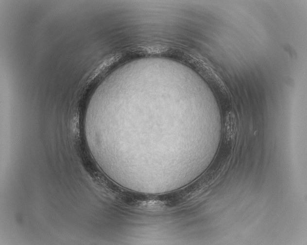 X0000115790212200912041519