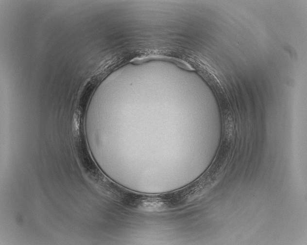 X0000115790214200912041519