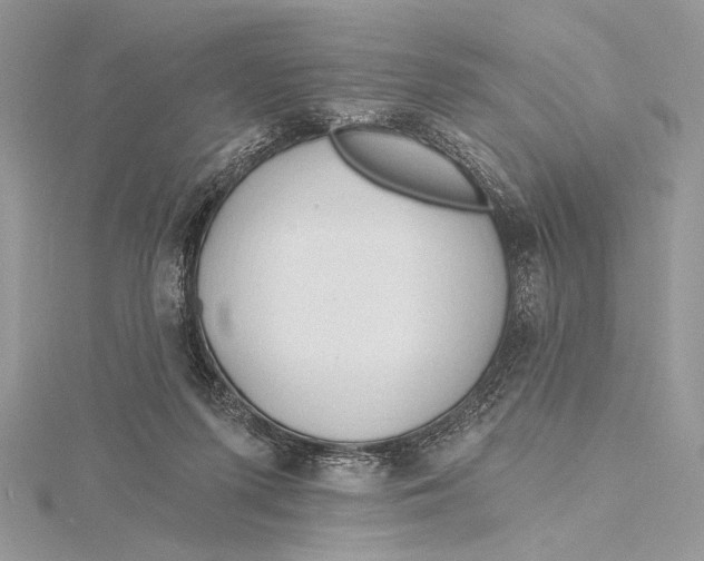 X0000115790215200912041519