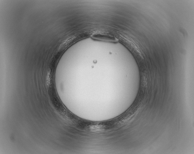 X0000115790216200912041519