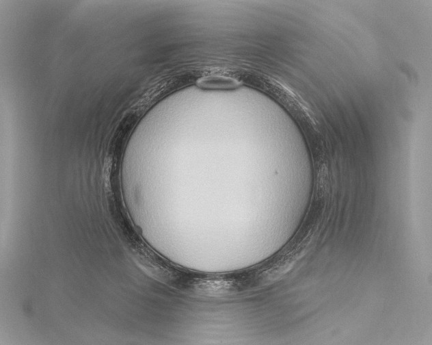 X0000115790217200912041519