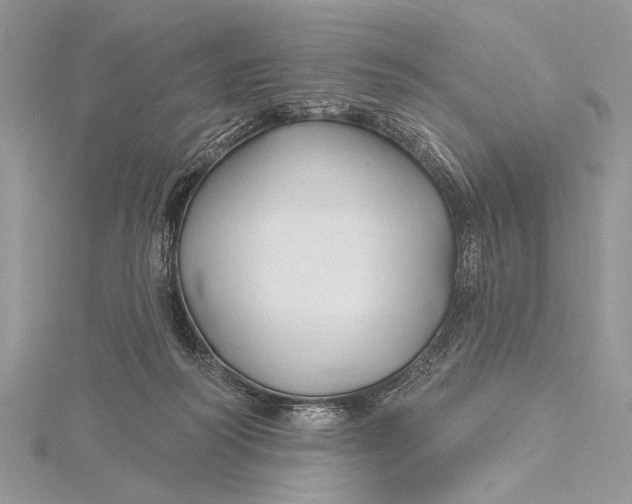 X0000115790218200912041519