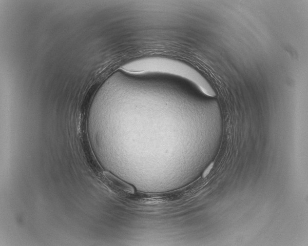 X0000115790219200912041519