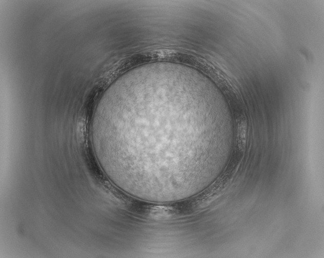 X0000115790222200912041519