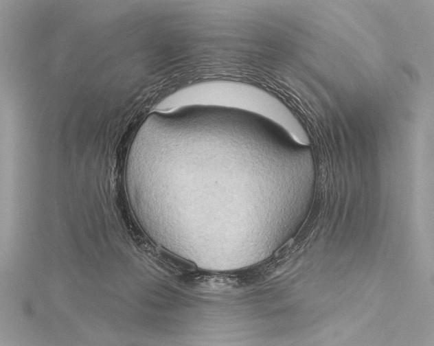 X0000115790223200912041519