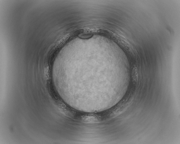 X0000115790224200912041519