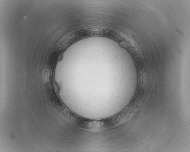 X0000115790225200912041519