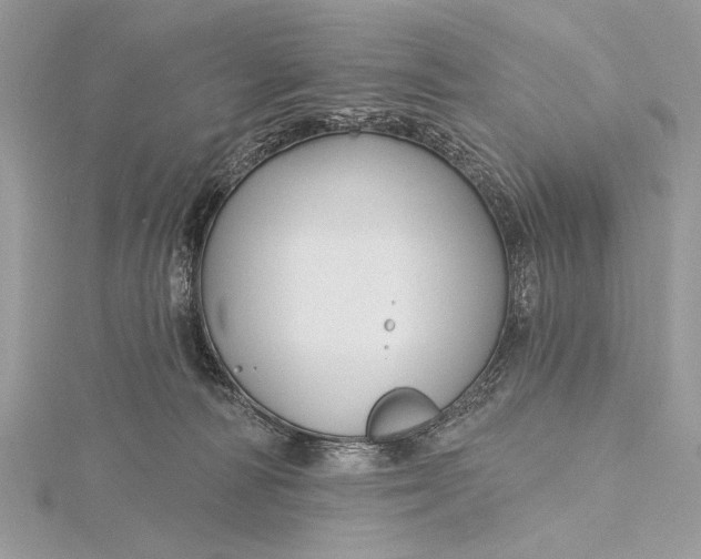 X0000115790226200912041519