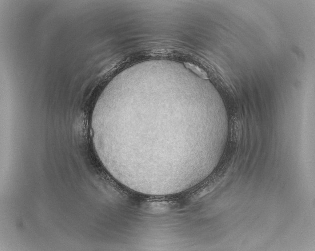 X0000115790228200912041519