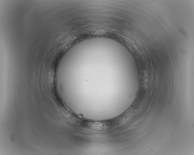 X0000115790230200912041519