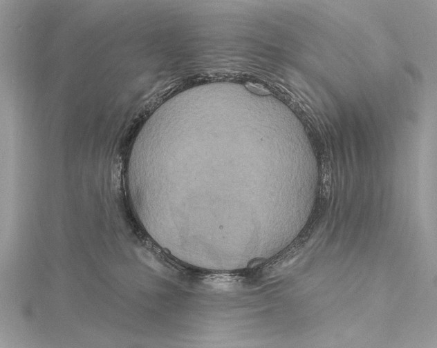 X0000115790231200912041519