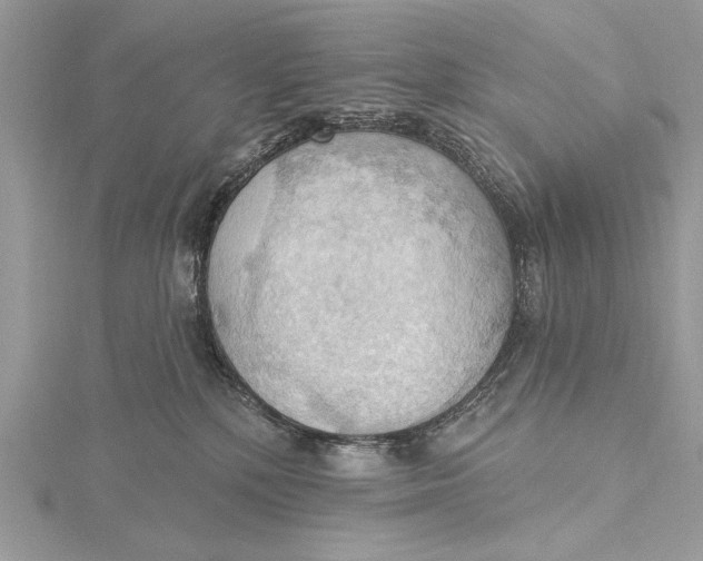 X0000115790232200912041519