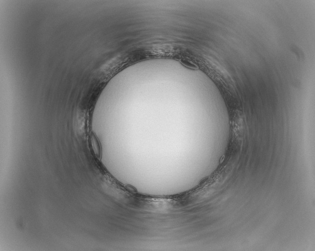 X0000115790233200912041519