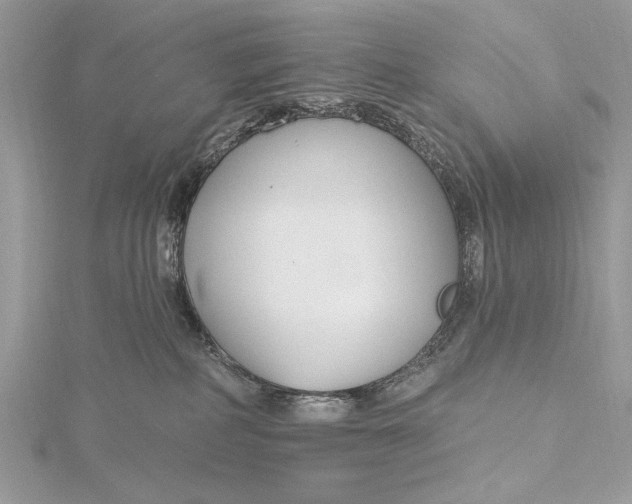 X0000115790234200912041519