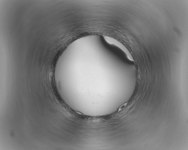 X0000115790235200912041519