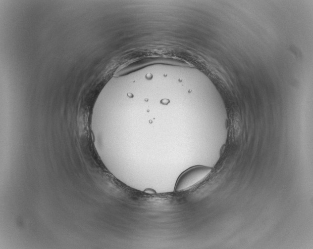 X0000115790236200912041519