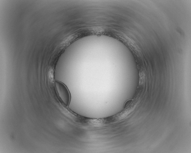 X0000115790238200912041519