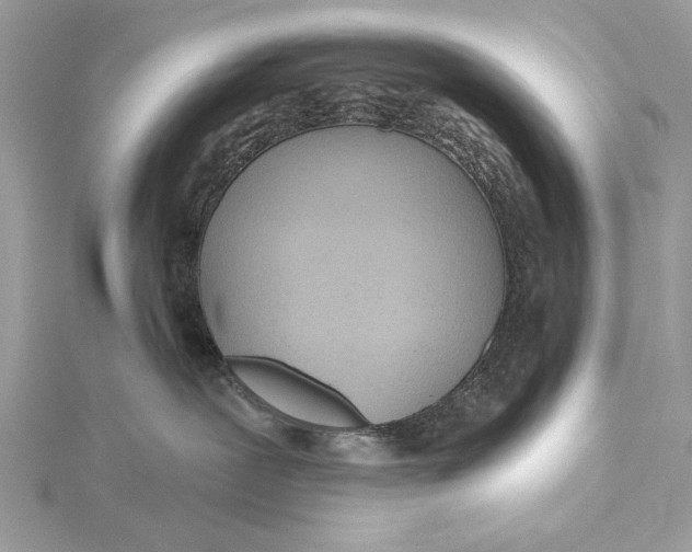 X0000115790239200912041519