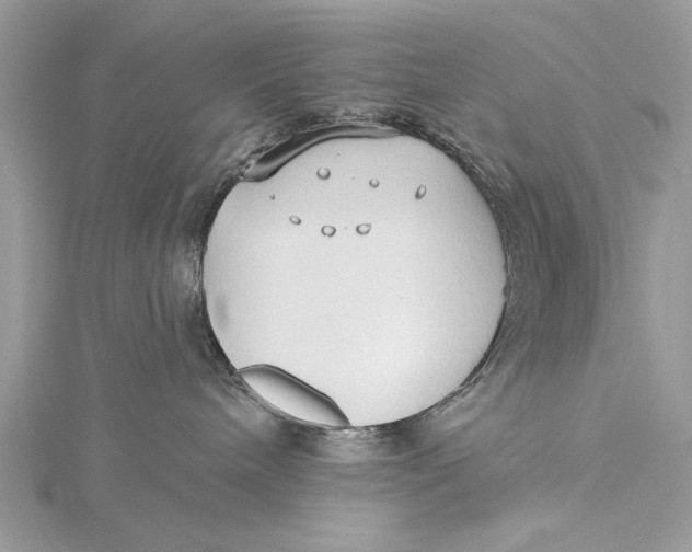 X0000115790240200912041519