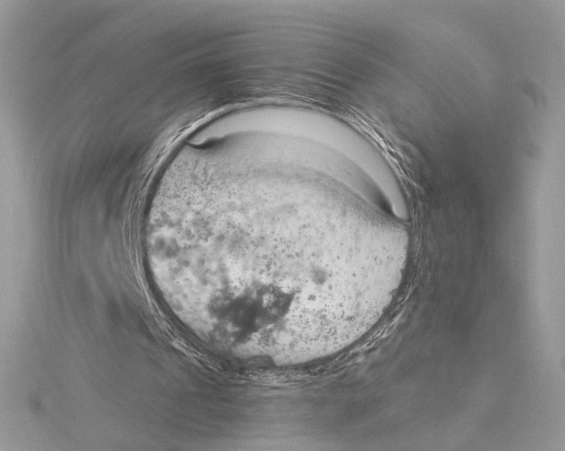 X0000115790241200912041518