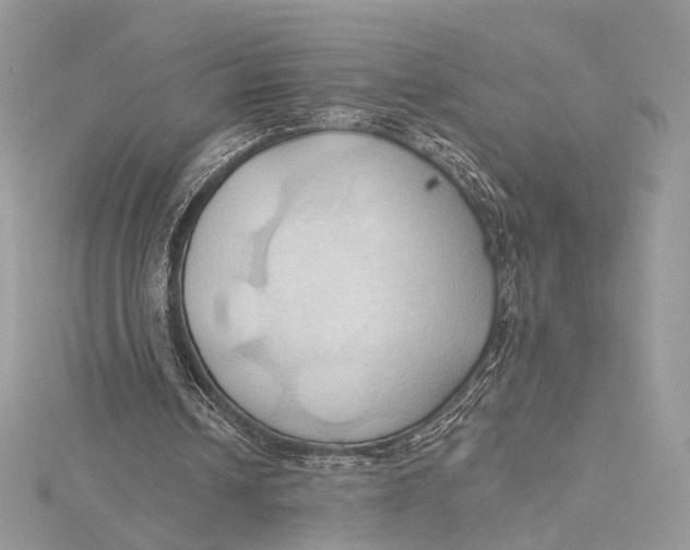 X0000115790242200912041518