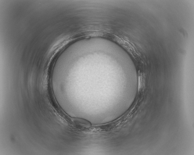 X0000115790243200912041518