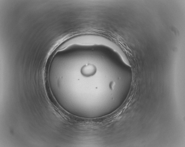 X0000115790244200912041518