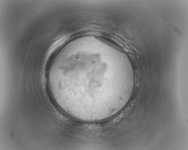 X0000115790245200912041518