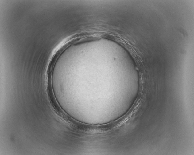 X0000115790246200912041518