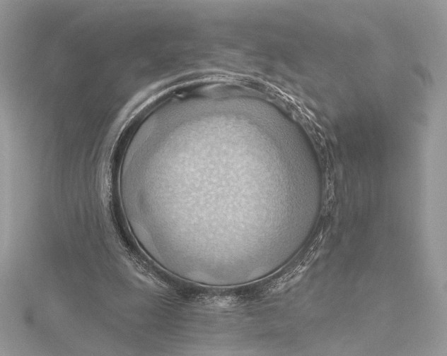 X0000115790247200912041518