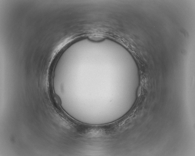 X0000115790248200912041518