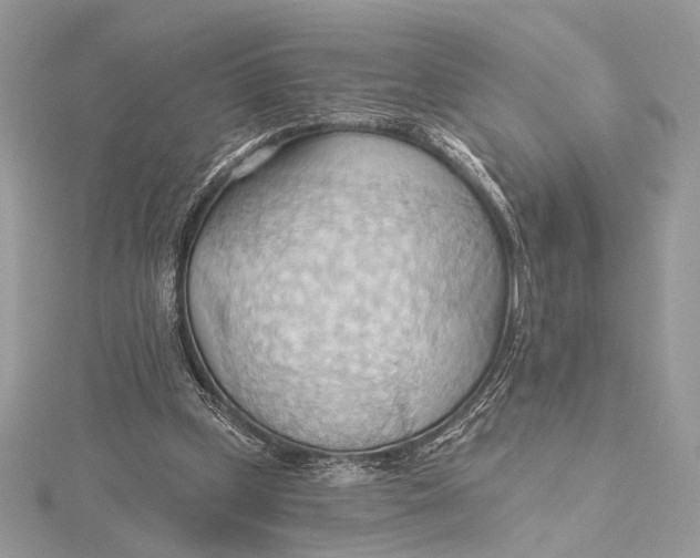 X0000115790249200912041518