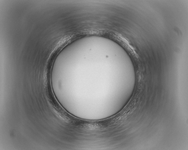 X0000115790250200912041518