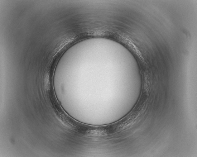 X0000115790251200912041518