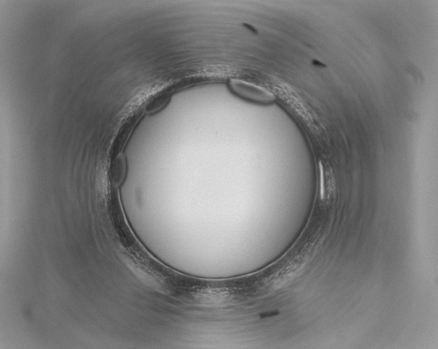 X0000115790252200912041518