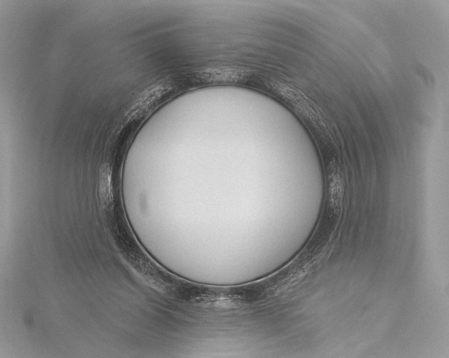 X0000115790254200912041518