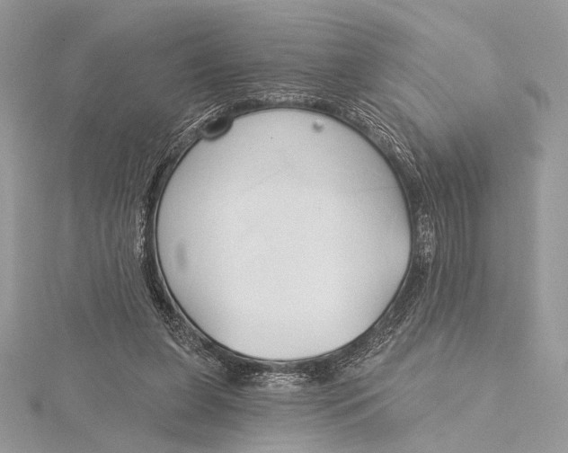 X0000115790255200912041518