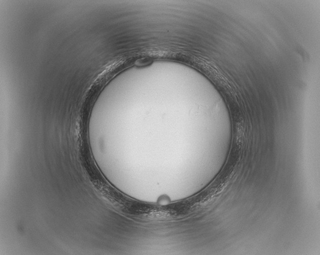 X0000115790256200912041518