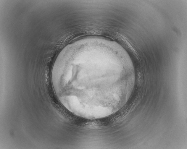 X0000115790259200912041518