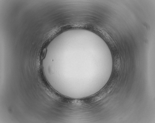 X0000115790261200912041518