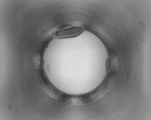 X0000115790264200912041518