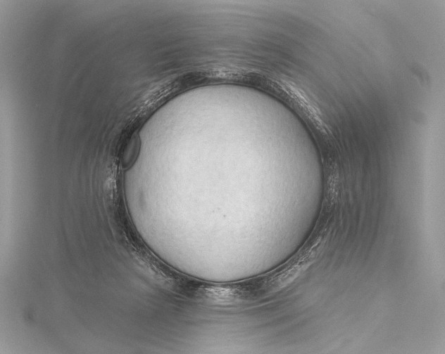 X0000115790265200912041518