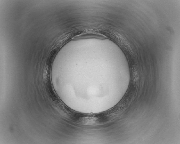 X0000115790266200912041518