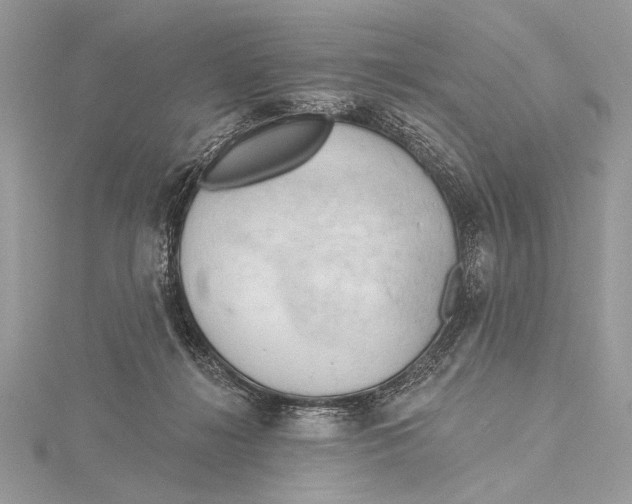 X0000115790268200912041518