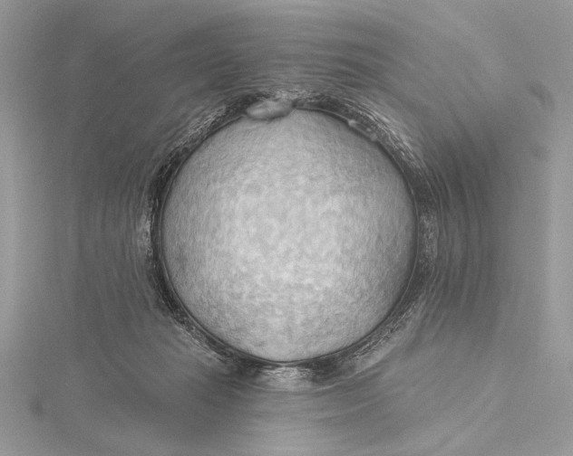 X0000115790269200912041518