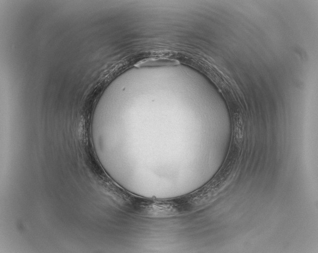 X0000115790270200912041518